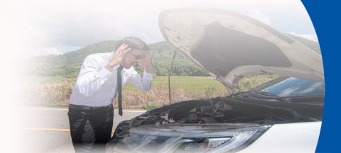 Looking for a Vehicle